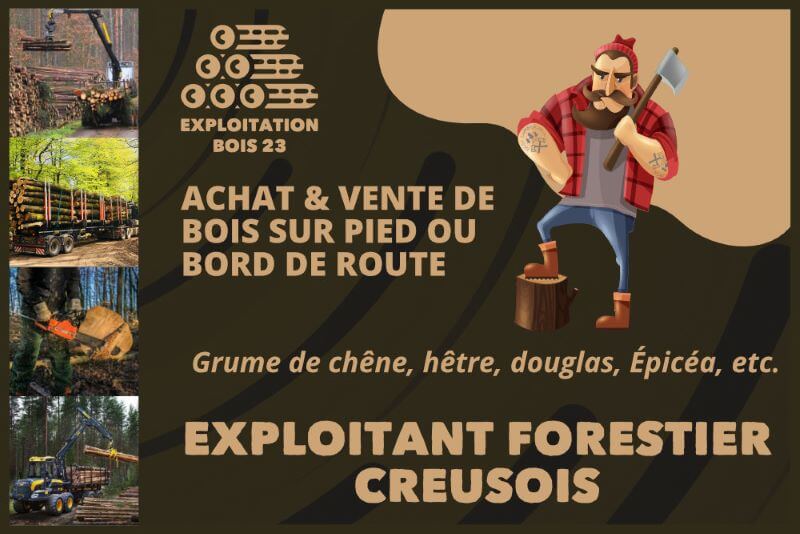 signalétique panneau vitrine en creuse